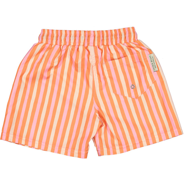 Beach stripes classic swim shorts