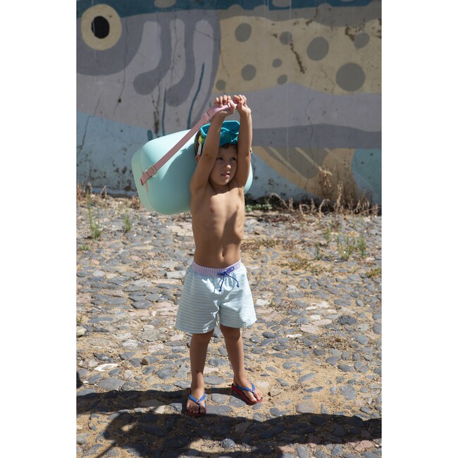 Pastel stripes classic swim shorts - Swim Trunks - 5