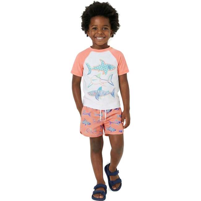 Boys Short Sleeve Rashguard Set, Shark Sketches
