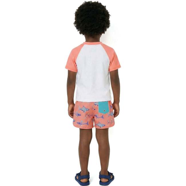 Boys Short Sleeve Rashguard Set, Shark Sketches - Rash Guards - 4