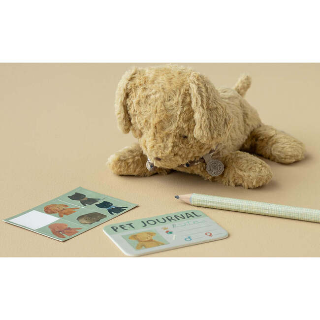 Pet Carrier - Dusty blue