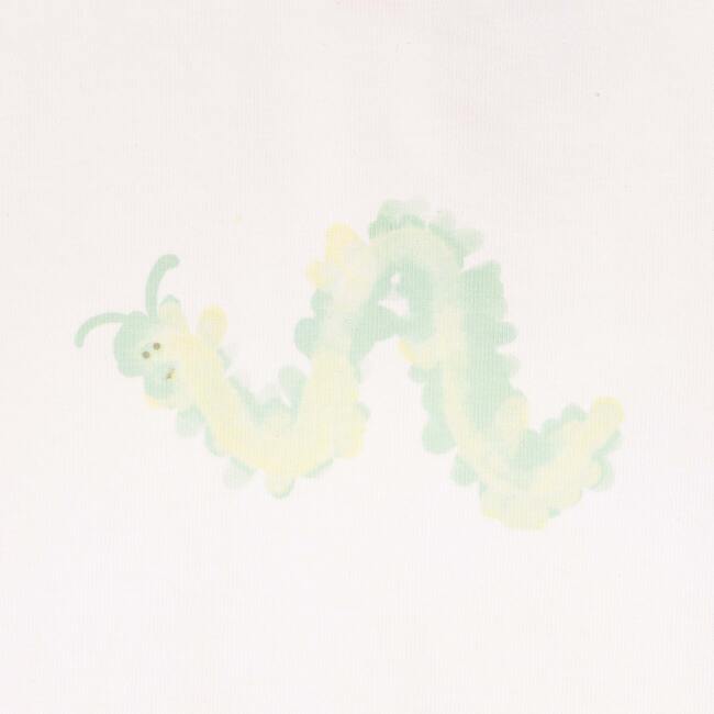 Wiggly t-shirt boy in organic cotton