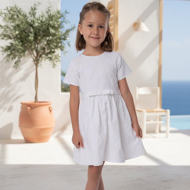 Eryna Girl Dress Short Sleeve, White Grape Embroidery - Dresses - 3