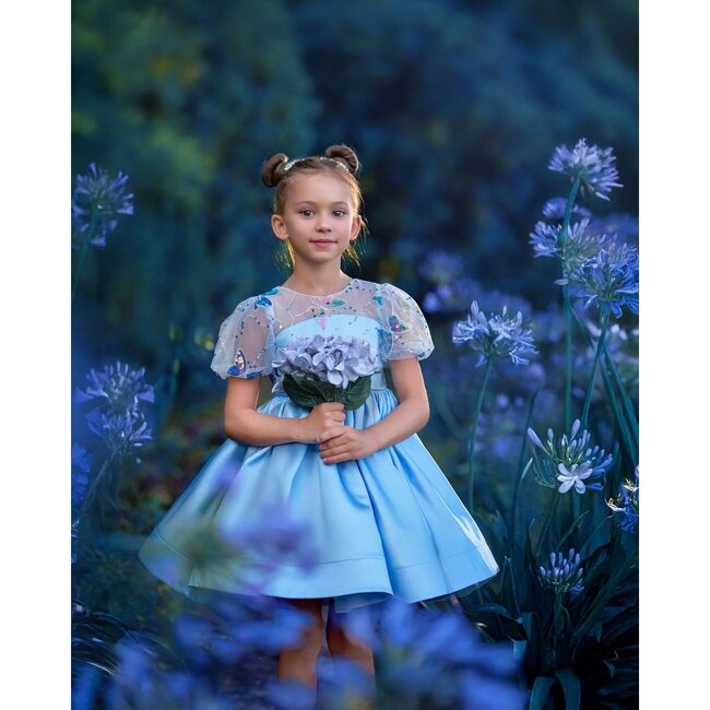 Celestial Butterfly Dress, Blue