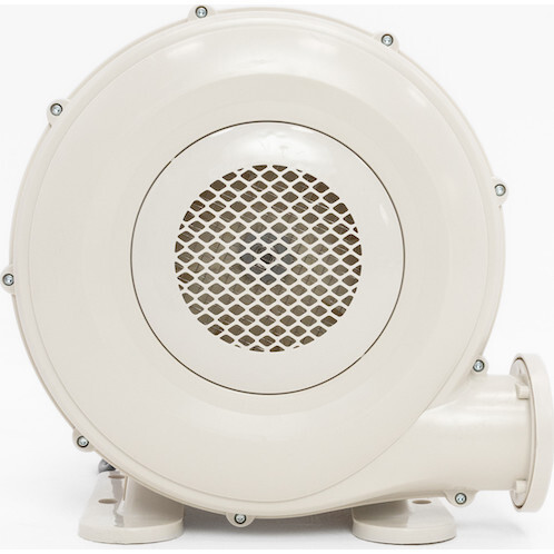 Roll & Score - Games - 6