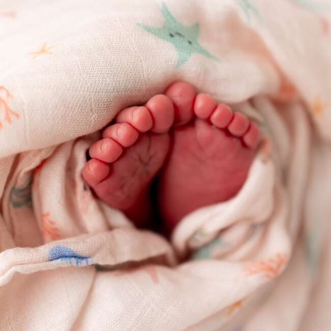 Starfish Swaddle - Swaddles - 7