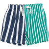Boys Swim Trunk, Multi Stripe Multi Stripe - Swim Trunks - 1 - thumbnail