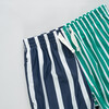 Boys Swim Trunk, Multi Stripe Multi Stripe - Swim Trunks - 2