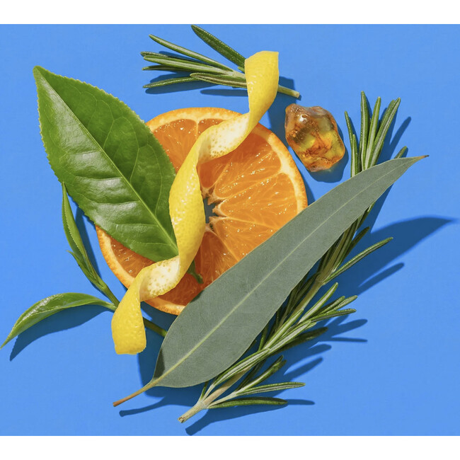 Non Standard No. 1 Trio, Green Tea and Citrus