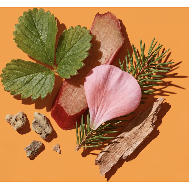 Non Standard No. 2 Trio, Piney with a hint of Rhubarb