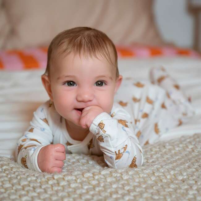 Wildly Loved Modal Magnetic Footie