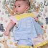 Multi Gingham Woven Flutter Sleeve & Short Set - Mixed Apparel Set - 6