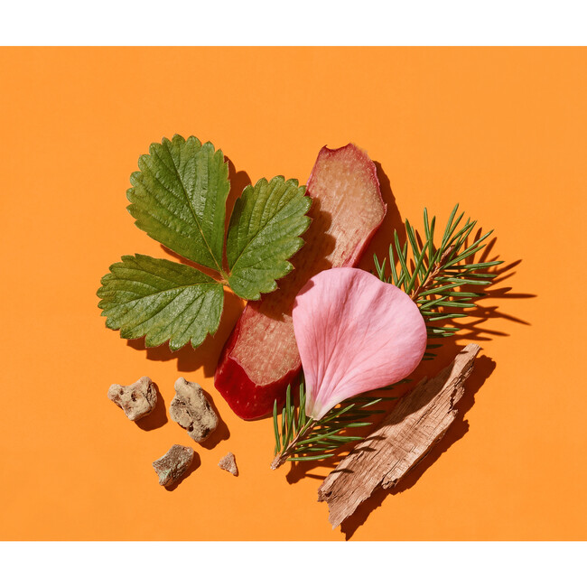 Non Standard No. 2 Trio, Piney with a hint of Rhubarb