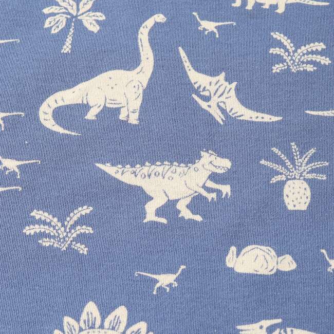 Organic Swaddle Blanket & Hat Set, Dino - Swaddles - 5