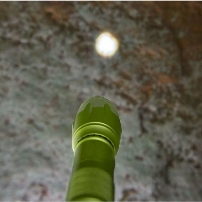 Terra kids 4-Way Flashlight with Carabiner Clip