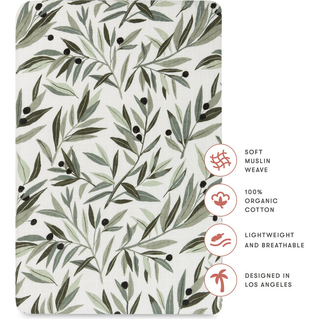 All-Stages Bassinet Sheet, Olive Branches - Crib Sheets - 4
