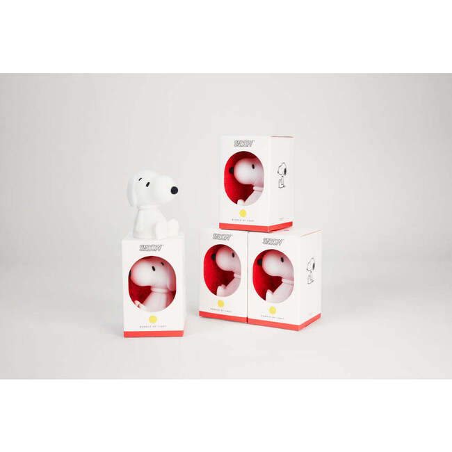 Mr Maria Snoopy bundle of light