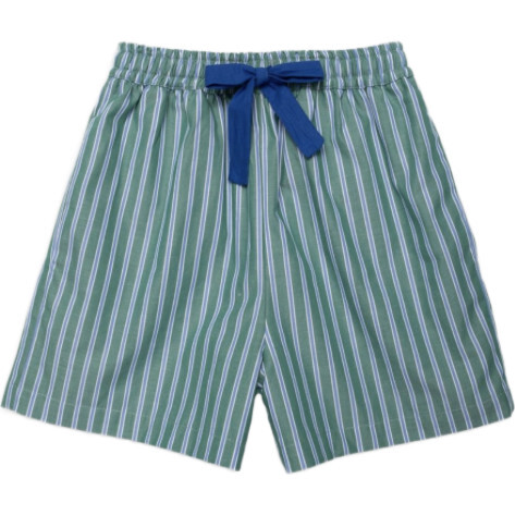 Avenue Shorts in Cucumber Stripe