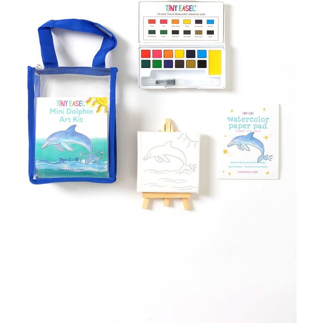 Mini Dolphin Art Kit