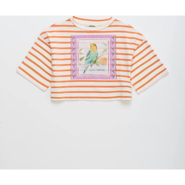 BIRDS STRIPED CROP TOP, MANDARIN / WHITE