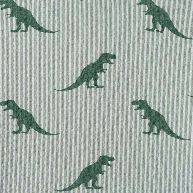 Infant Boys Short Sleeve Cabana Set, Green Stripe Dino - Mixed Apparel Set - 3