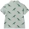 Infant Boys Short Sleeve Cabana Set, Green Stripe Dino - Mixed Apparel Set - 6 - thumbnail