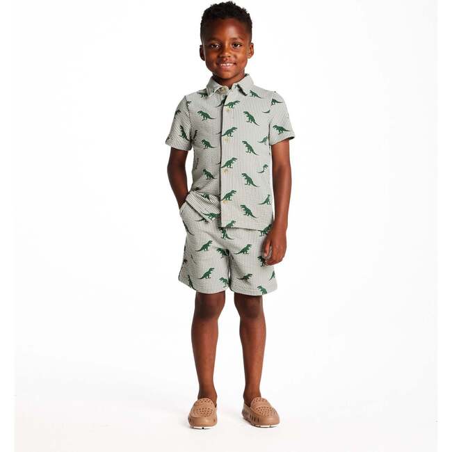 Boys Short Sleeve Cabana Set, Green Stripe Dino