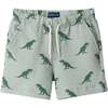 Boys Short Sleeve Cabana Set, Green Stripe Dino - Mixed Apparel Set - 6
