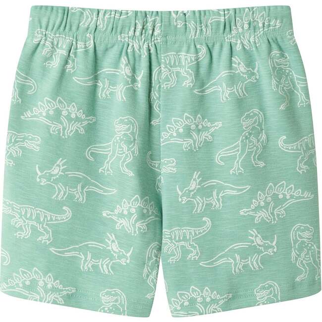 Boys Printed Henley Set, Green Dino - Mixed Apparel Set - 4