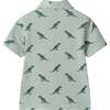 Boys Short Sleeve Cabana Set, Green Stripe Dino - Mixed Apparel Set - 7