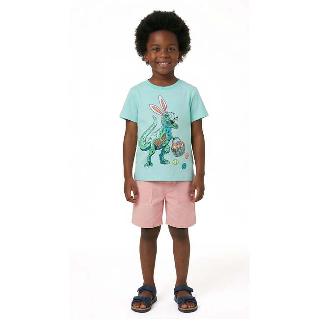Boys Graphic Tee, Easter Dino