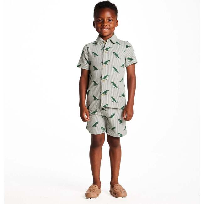 Boys Short Sleeve Cabana Set, Green Stripe Dino - Mixed Apparel Set - 9