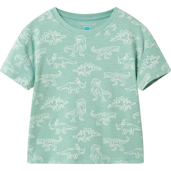 Boys Graphic Tee, Allover Dino
