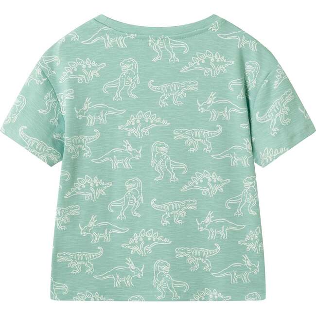 Boys Graphic Tee, Allover Dino