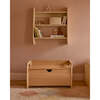 Toy Box - Storage - 2
