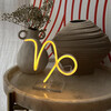 Zodiac Capricorn LED Sign - Lighting - 2