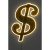 Dollar Sign Yellowpop x Any Warhol - Lighting - 2