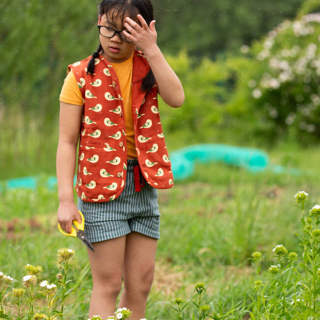 Spring Birds Spring Gilet, Red