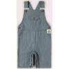 Navy Striped Dungaree Shorts, Navy - Overalls - 1 - thumbnail