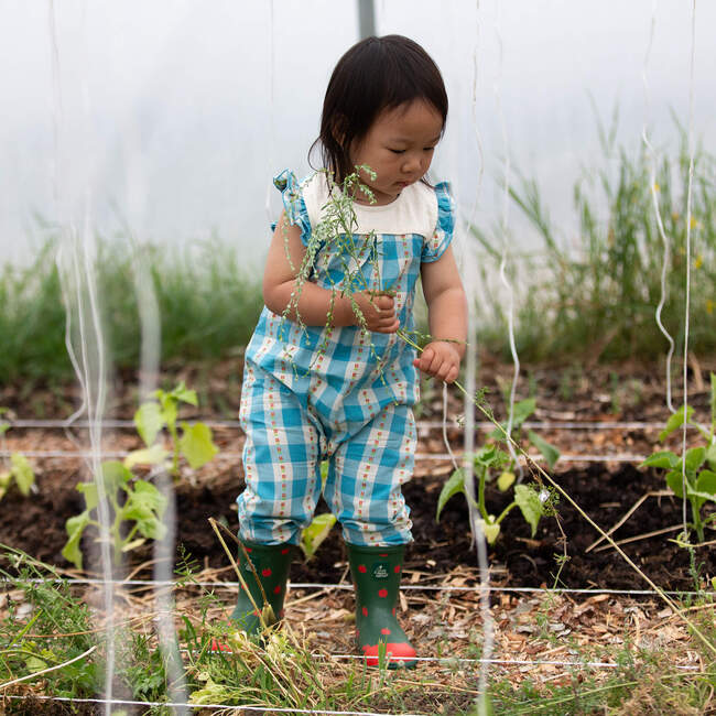 Blue Flowers Frill Summer Romper, Blue
