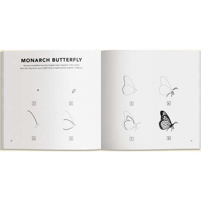 Bugs: How to Draw Books for Kids