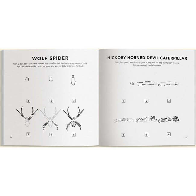 Bugs: How to Draw Books for Kids - Books - 3