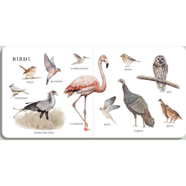 Our Big Book of Animals - Books - 3