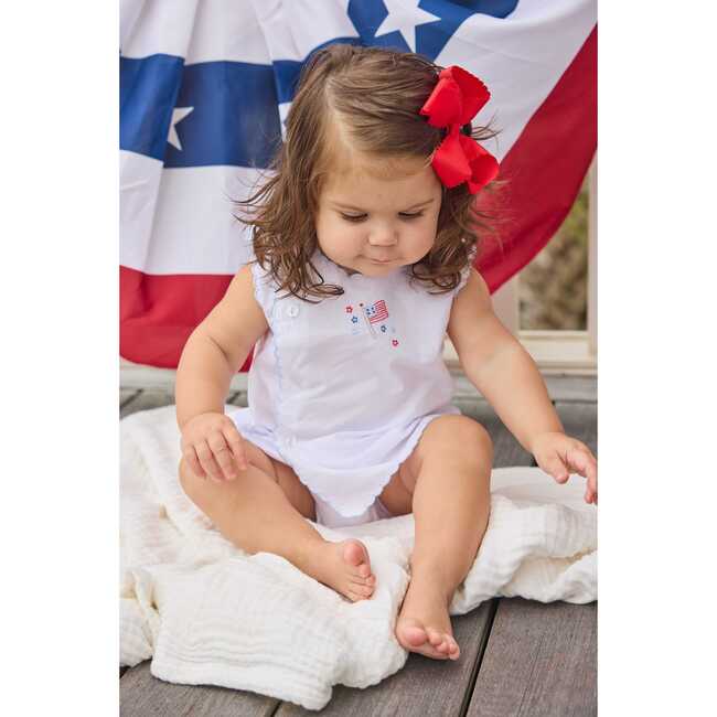 Davis Day Set, Flag