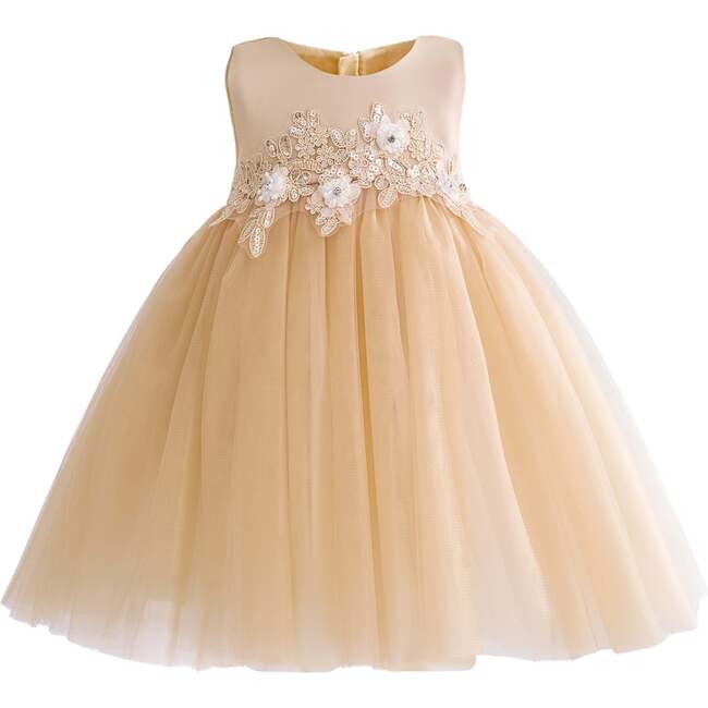 Zinara Ribbon Bloom Gown, Champagne