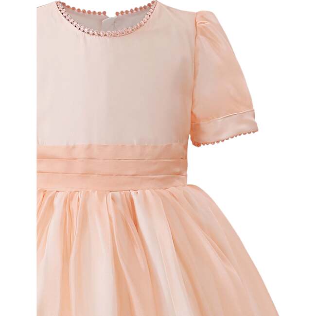 Zavelle Formal Dress, Pink - Dresses - 4