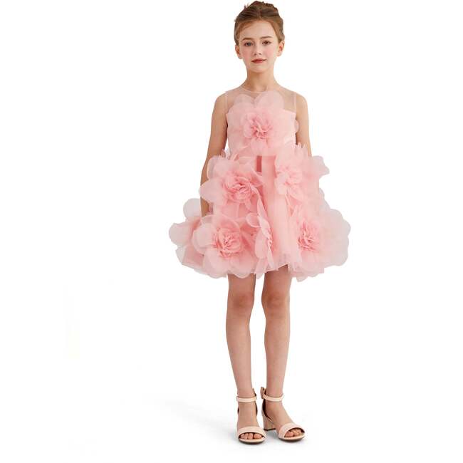 Briellea Embellished Sleeveless Dress, Rose