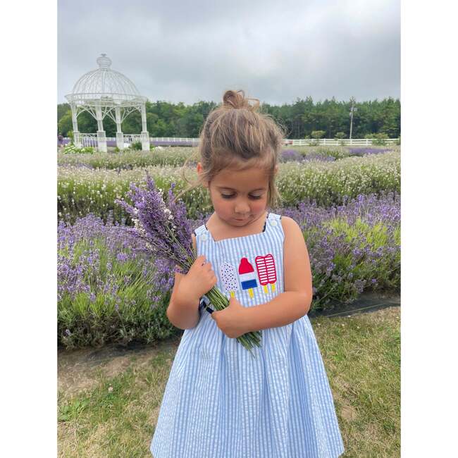 Seersucker Dress With Popsicles - Dresses - 4