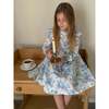 Long Sleeve Aoki Dress, Blue Toile - Dresses - 3
