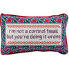 Control Freak Needlepoint Pillow - Decorative Pillows - 1 - thumbnail